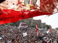 الأحداث القانونية المصرية في أسبوعين