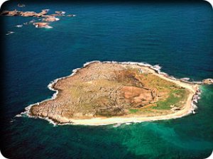 محمية جزر النخيل، هذا الكنز المنسي