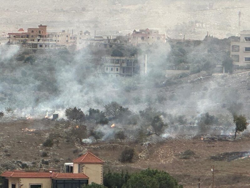 من الضفة إلى جنوب لبنان: إسرائيل تشنّ حربًا على الزيتون