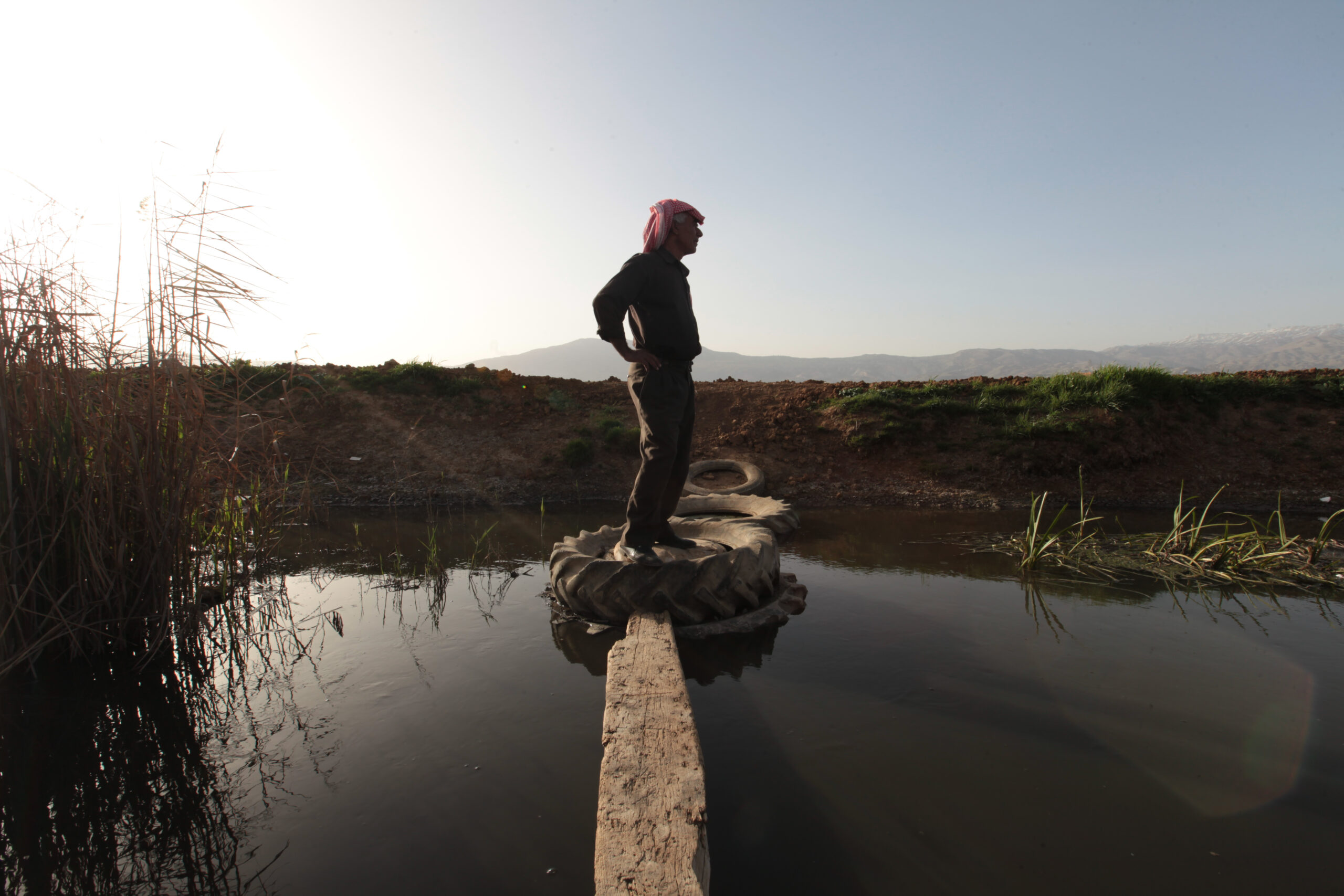 ملوثو الليطاني أمام القضاء وسط أصداء ميموزا: هل بدأ العد العكسي لمحاسبة ملوثي البيئة في لبنان؟