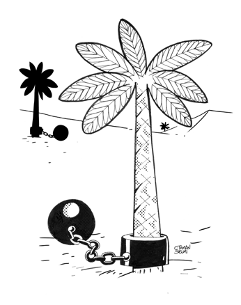 الفجوات الغابية في تونس: واقع صعب وأفق واعد